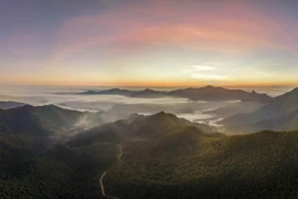 组图：洞州-溪水自然保护区——62个重要鸟类区之一