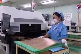 同奈省为吸引外资营造更加便利投资环境