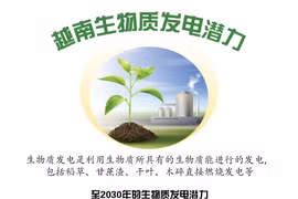 图表新闻：越南生物质发电潜力