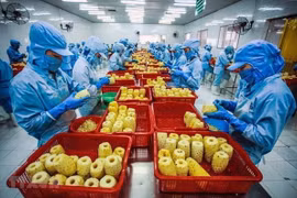 越南经济释放积极信号