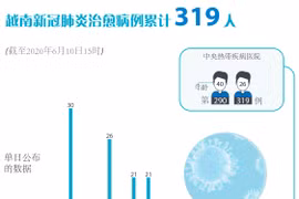 图表新闻：越南新冠肺炎治愈病例累计319人