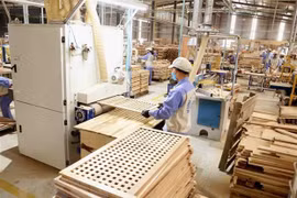 巴地头顿恢复生产 适应疫情防控常态化