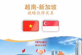 图表新闻：越南-新加坡战略伙伴关系