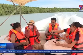 芹耶燕屋观光线路有望成为胡志明市旅游新名片