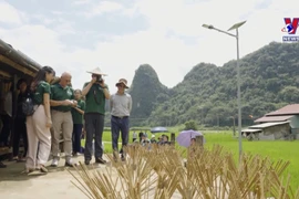 高平省山水UNESCO全球地质公园重新评审