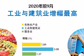 图表新闻：2020年前9月工业与建筑业增幅最高