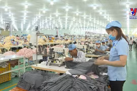 今年5月份新注册企业数量同比增长15.2%