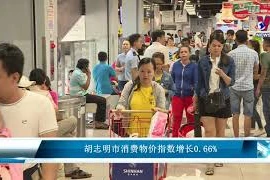 胡志明市消费物价指数增长0.66%