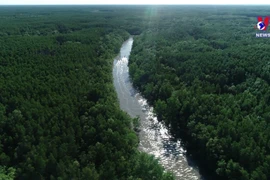 将芹椰红树林列入拉姆萨尔湿地申请名单