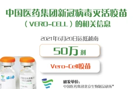 图表新闻：中国医药集团新冠病毒灭活疫苗（Vero-Cell）的相关信息