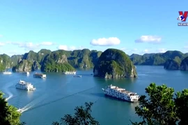 下龙湾遗产保持绿色-清洁-美丽的旅游胜地的地位