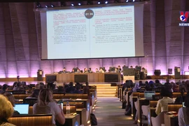 越南当选UNESCO保护非物质文化遗产政府间委员会委员