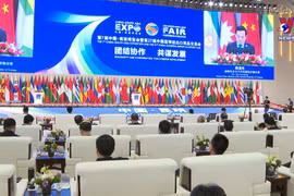 越南政府副总理陈流光访问中国云南省 出席南博会开幕式