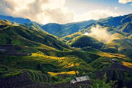 组图：探索奠边省享受美轮美奂的自然风光