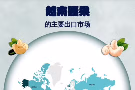 互动图表：越南腰果的主要出口市场