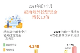 图表新闻：2021年前7个月越南竞赛投资资金增长1.3倍