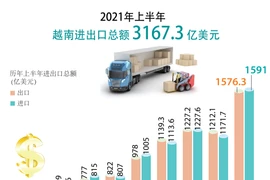 图表新闻：2021年上半年越南进出口总额达3167.3亿美元