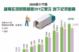 图表新闻：2020年11个月越南实现贸易顺差201亿美元 创下记录新高