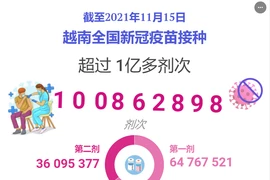 互动图表：截至2021年11月15日越南全国新冠疫苗接种超过1亿多剂次