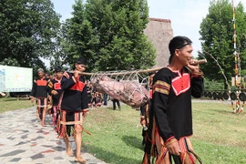 组图：嘉莱族同胞独具一格的新隆屋神祭祀仪式