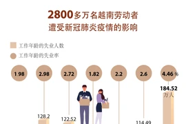 图表新闻:2800多万名越南劳动者遭受新冠肺炎疫情的影响