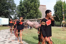 组图：嘉莱族同胞独具一格的新隆屋神祭祀仪式