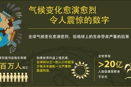 图表新闻：气候变化愈演愈烈 令人震惊的数字