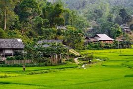 山罗省钲安乡努力挖掘特色旅游资源潜力