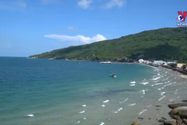 坚江省山岛全力营造安全有序的旅游环境 ​