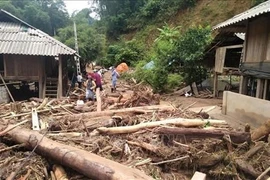 防洪屋帮助灾民减少损失