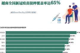 互动图表：越南全国新冠疫苗接种覆盖率达65%