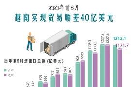 图表新闻：2020年前6月越南实现贸易顺差40亿美元