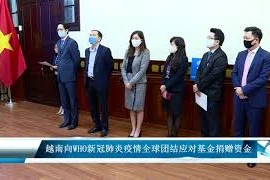 越南向WHO新冠肺炎疫情全球团结应对基金捐赠资金