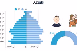互动图表：越南人口规模和结构