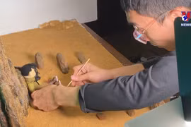 越南年轻制片者在电影制作中助力环保