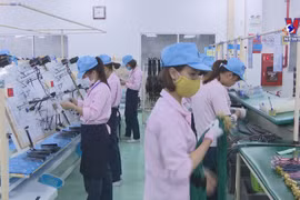 专家预测越南仍是2023年保持强劲增长率的少数国家之一