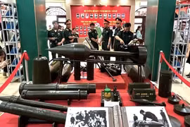 游客参观在芹苴市举行的专题展。图自越通社
