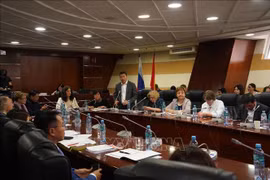 越南日活动场景。图自越通社