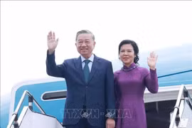 越共中央总书记苏林夫妇抵达河内内排机场。图自越通社