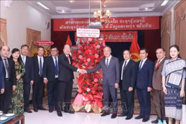 胡志明市市委常务副书记阮胡海与老挝驻胡志明市副总领事安菲·苏瓦纳盛和双方代表合影。图自越通社