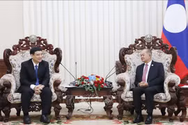 越老友好协会中央委员会主席阮得荣礼节性拜会老挝政府副总理吉乔·凯坎匹吞。图自越通社