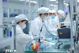今年前11月全国吸收外资近314亿美元。图自越通社