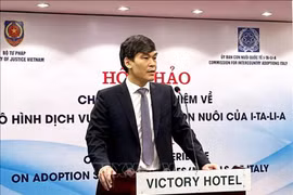 越南司法部儿童领养司司长邓陈英俊在研讨会上发言。图自越通社
