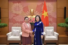 越南国会副主席、越挝议员友好小组主席阮氏青会见了老挝驻越南特命全权大使坎葆·恩塔万。图自越通社