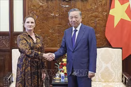越南国家主席苏林会见新西兰驻越大使贝雷斯福德。图自越通社