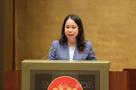 国家副主席武氏映春。图自越通社