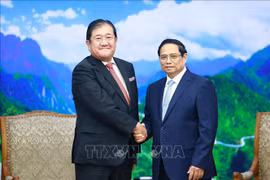 越南政府总理范明正会见日本三井集团董事长安永龙夫。图自越通社