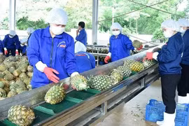 附图 图自人民报