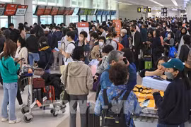 济州机场。图自越通社