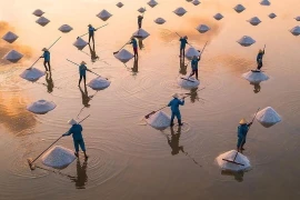 沙黄海盐晒制技艺被列入国家级非物质文化遗产名录。图自互联网